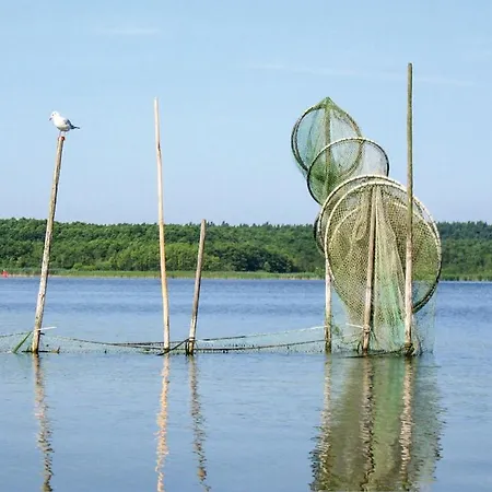 Ferienhaus Gorgeous In With Sauna Priborn