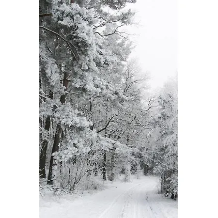 Gorgeous In With Sauna * Priborn