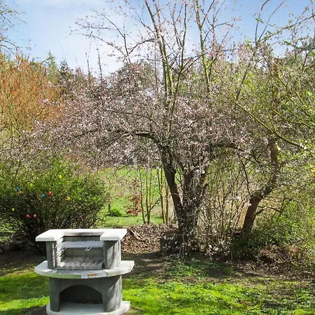 Gorgeous In With Sauna Ferienhaus Priborn